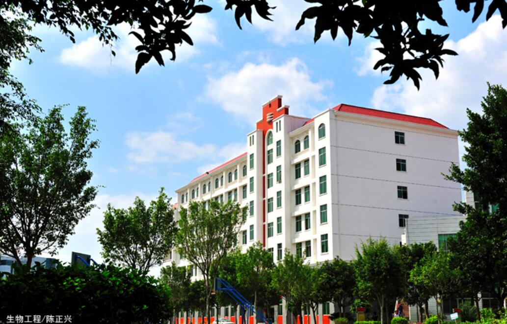 校园风光-闽南科技学院